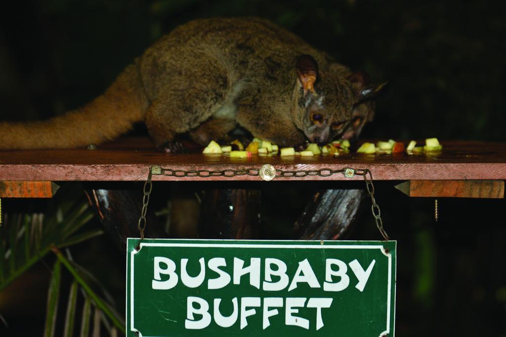 Gooderson Bushlands Game Lodge Хлухлуве Экстерьер фото