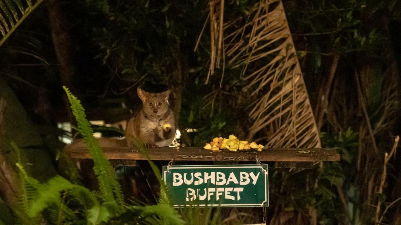 Gooderson Bushlands Game Lodge Хлухлуве Экстерьер фото